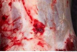 Photo Textures of RAW Beef Meat